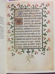 Italian Scroll Blank